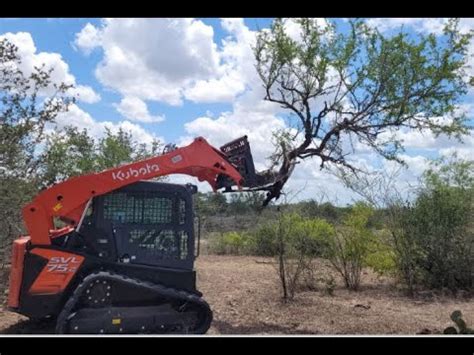 skid steer clearing brush grass and small trees|clearing and grubbing equipment.